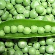 GARDEN PEAS PER KG