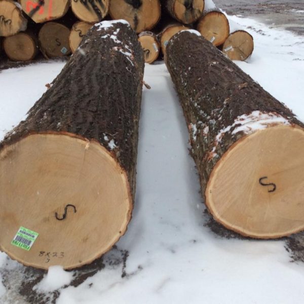 LOGS