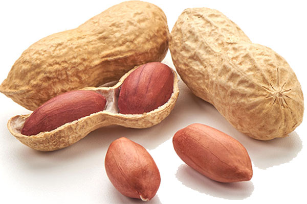 Grand Nuts