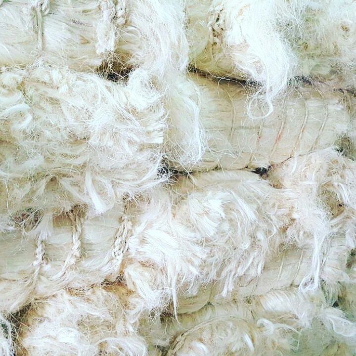 Sisal Fiber